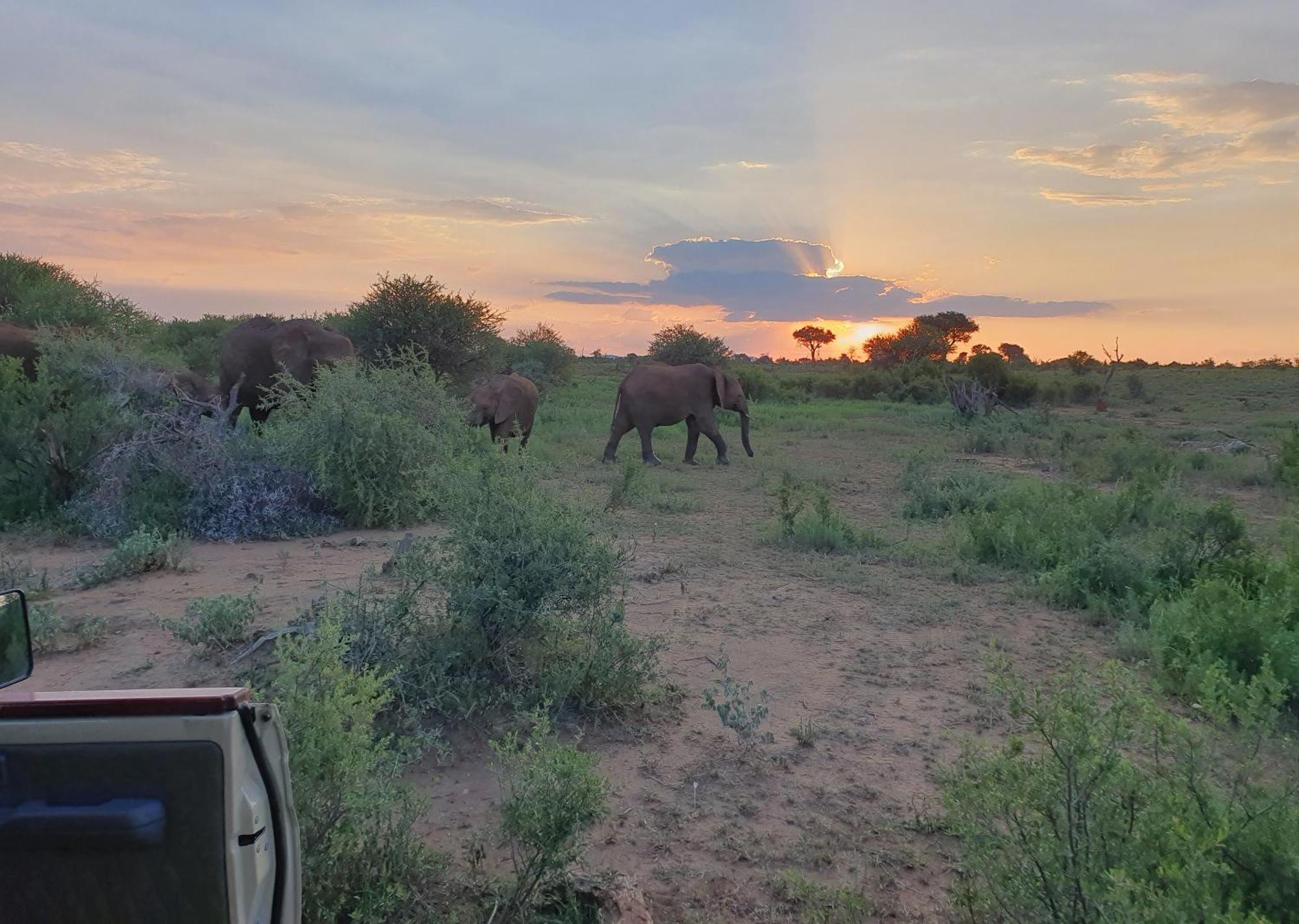 Madikwe River Lodge By Dream Resorts Madikwe Vadrezervátum Kültér fotó
