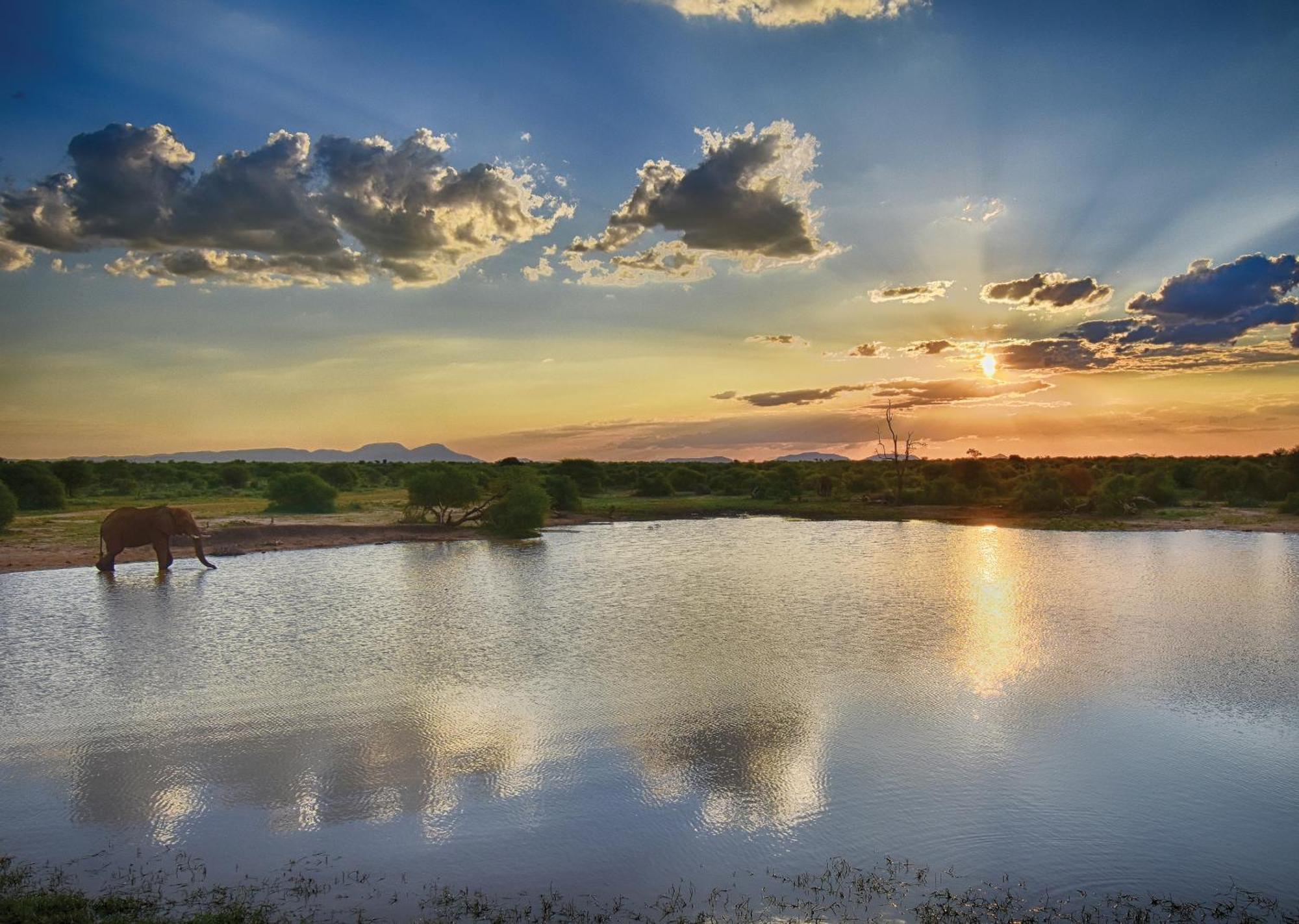 Madikwe River Lodge By Dream Resorts Madikwe Vadrezervátum Kültér fotó
