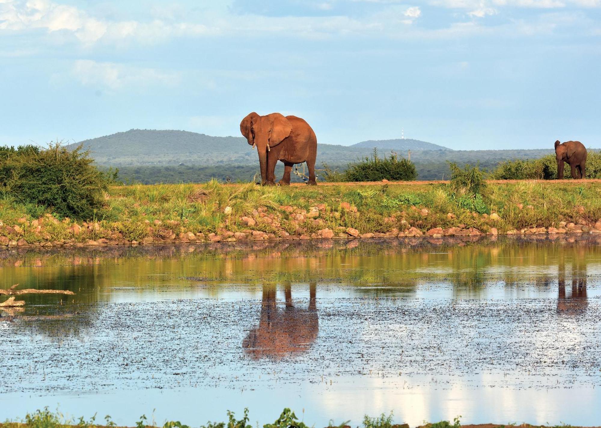 Madikwe River Lodge By Dream Resorts Madikwe Vadrezervátum Kültér fotó