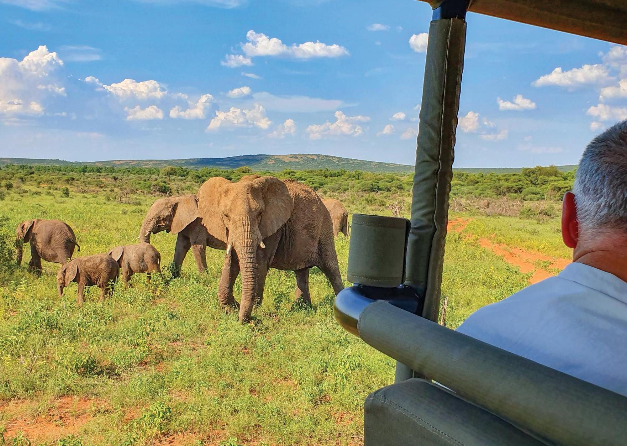 Madikwe River Lodge By Dream Resorts Madikwe Vadrezervátum Kültér fotó