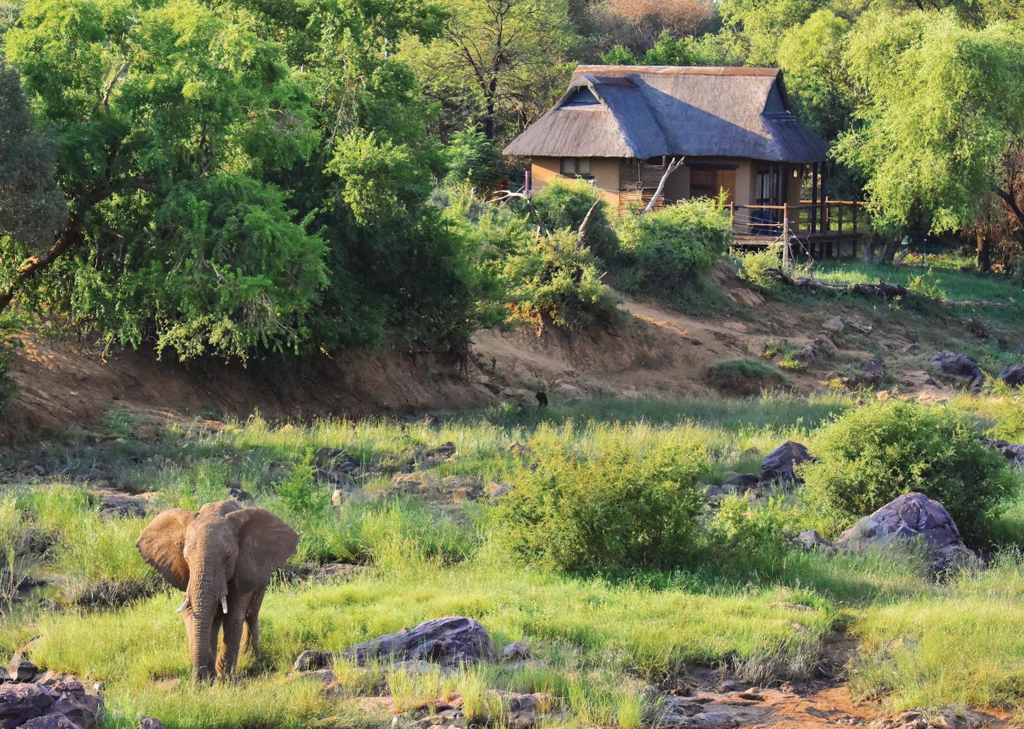 Madikwe River Lodge By Dream Resorts Madikwe Vadrezervátum Szoba fotó
