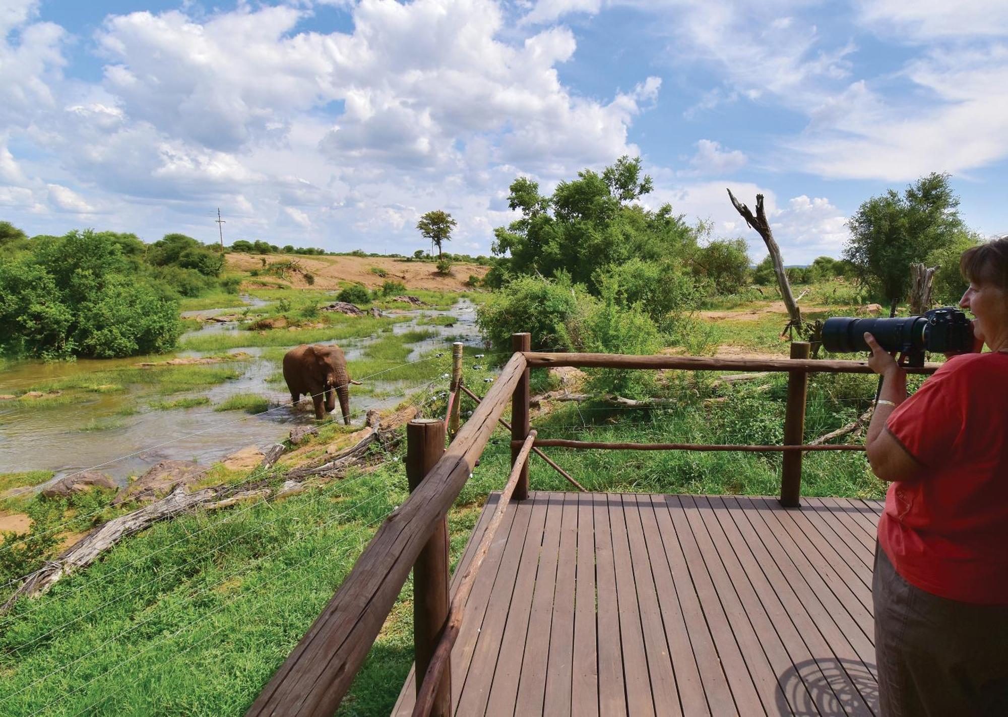 Madikwe River Lodge By Dream Resorts Madikwe Vadrezervátum Szoba fotó