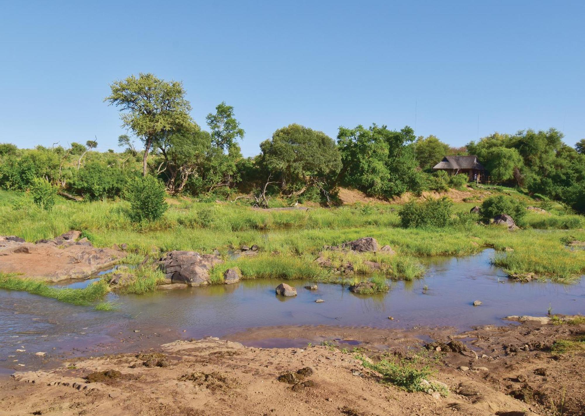 Madikwe River Lodge By Dream Resorts Madikwe Vadrezervátum Szoba fotó